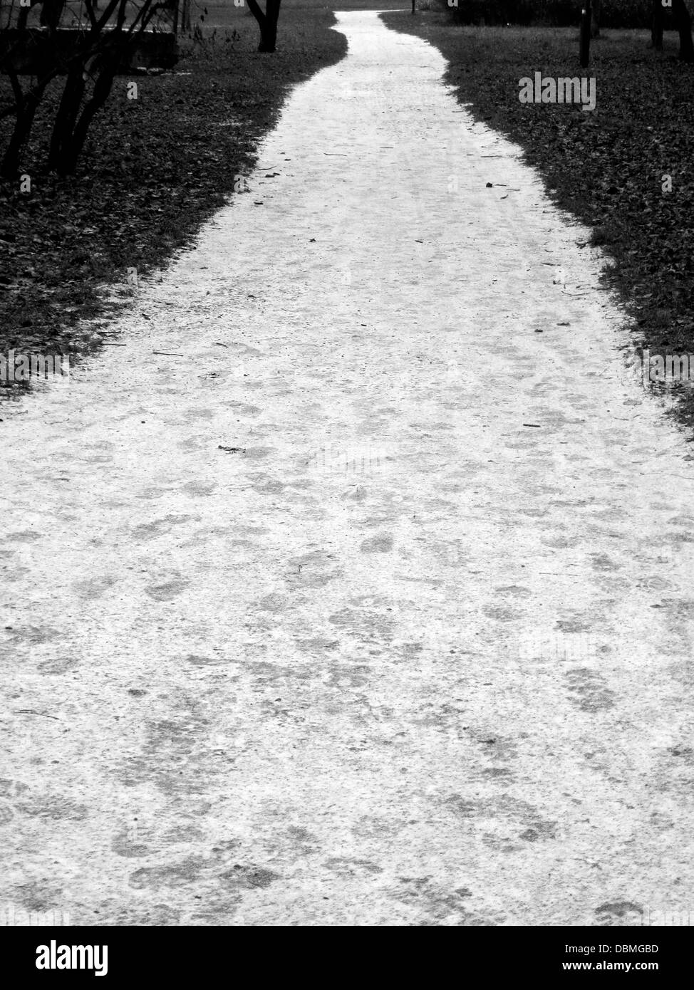 park lane covered with white snow with footprints, black-and-white Stock Photo