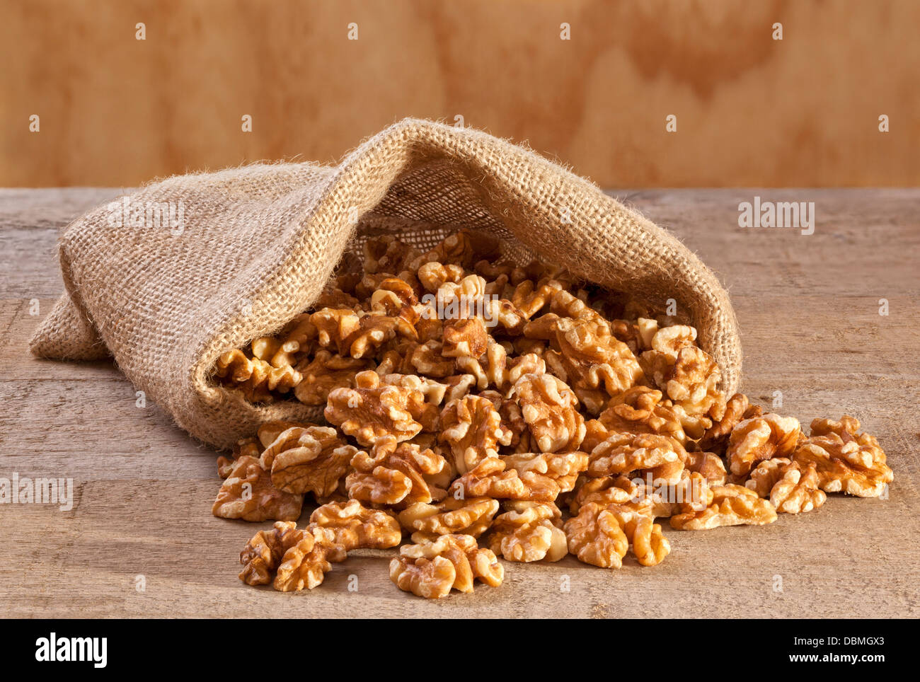 Walnuts in a Sack - shelled walnutrs spilling from a burlap or jute sack, on a rustic plank background. Stock Photo