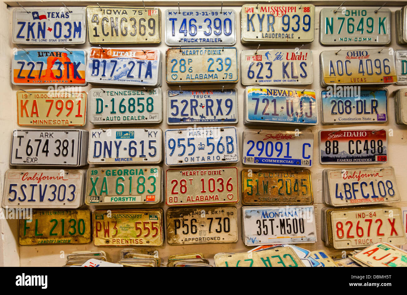 A collection of American car license plates Stock Photo Alamy