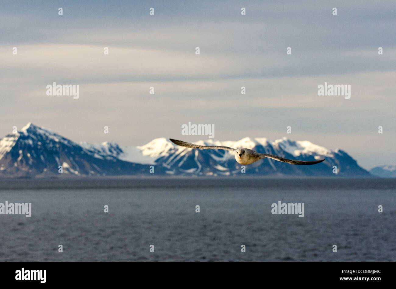 Magdalene fiords Arctic Circle Svalbard Norway Stock Photo