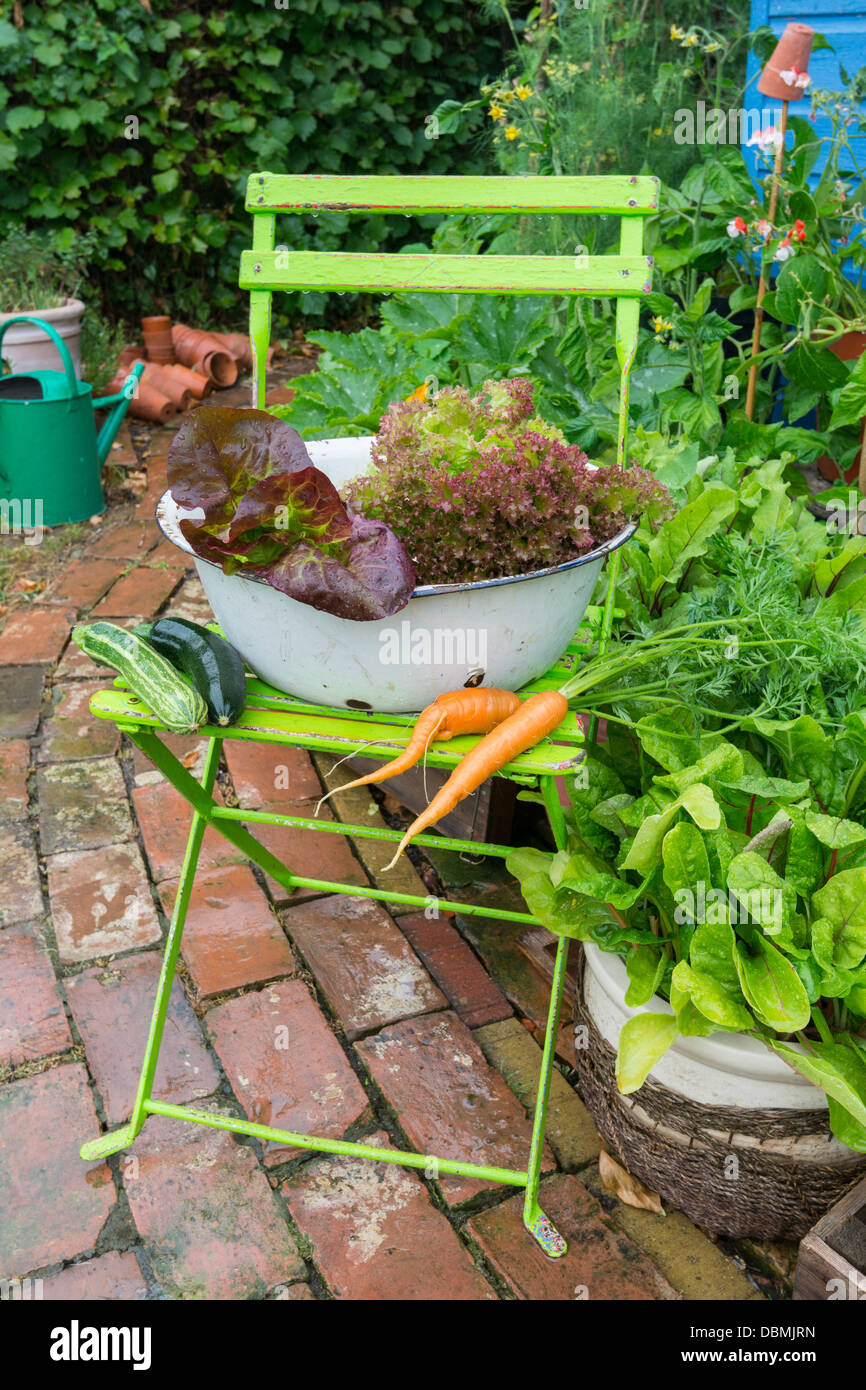Small garden corner with container grown leaves and salad crops. Stock Photo