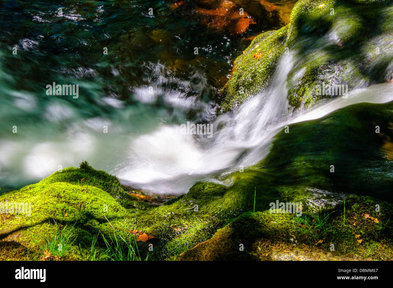 Crystal clear water flowing over green mossy rocks Stock Photo