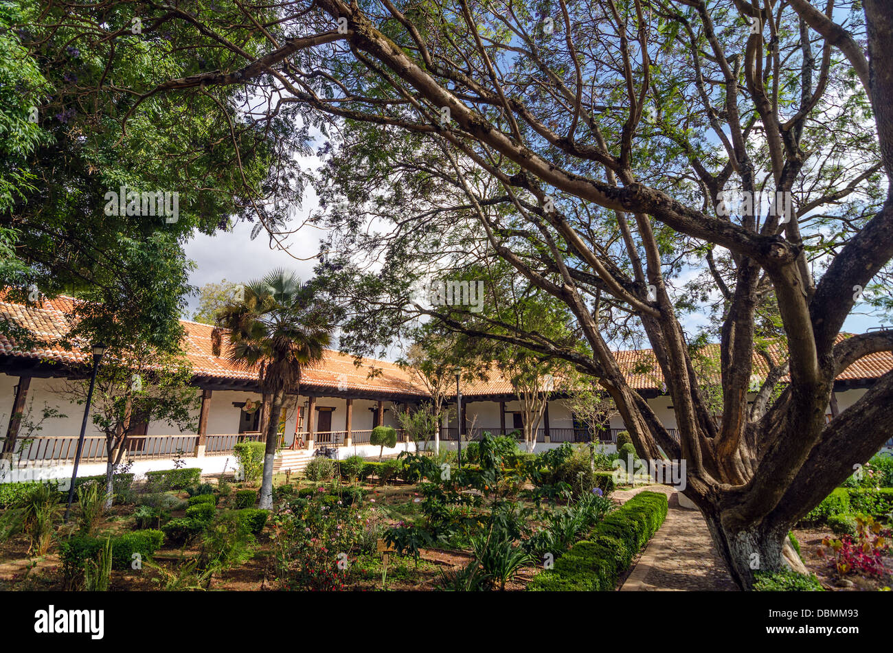 Colonial courtyard with lush plants in San Cristobal de las Casas, Mexico Stock Photo