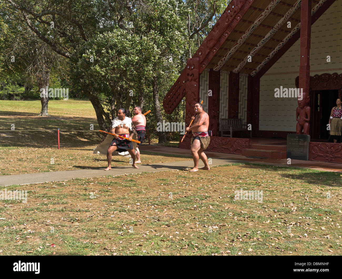 dh Waitangi Treaty Grounds BAY OF ISLANDS NEW ZEALAND Maoris greeting Maori meeting house carvings dance tribe haka people warriors welcome Stock Photo