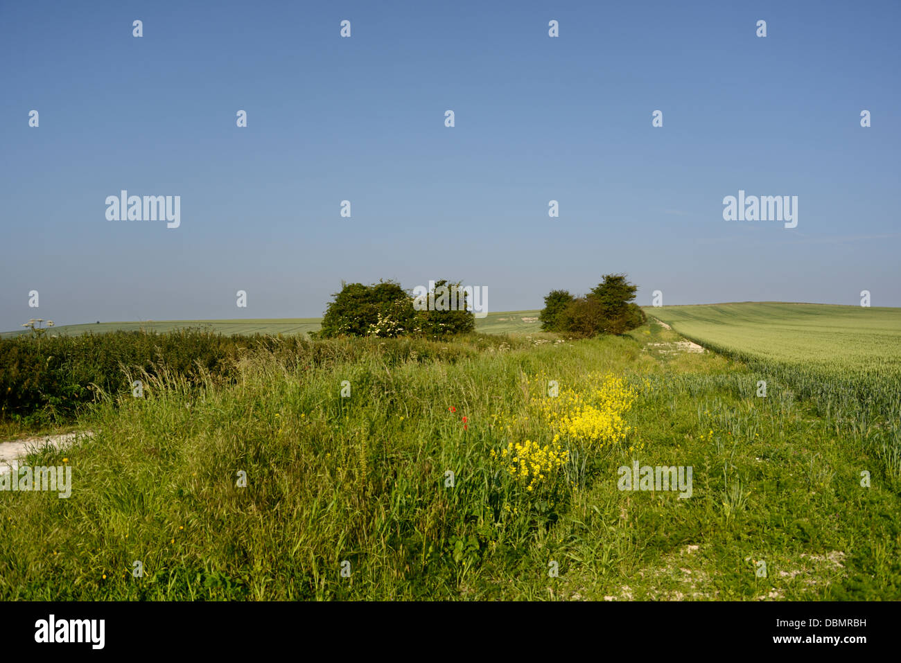 Ancient pathway hi-res stock photography and images - Alamy