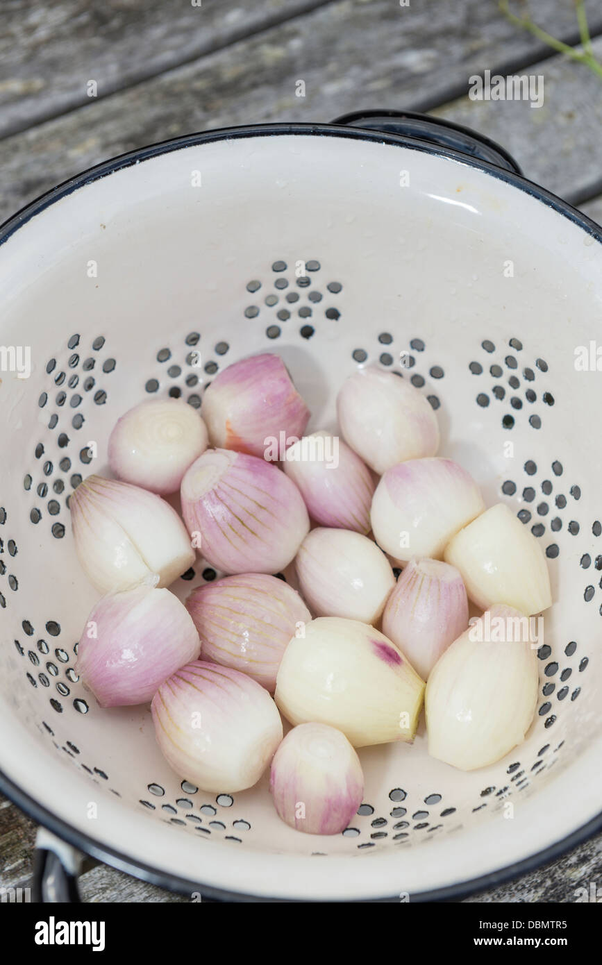 Home grown shallots, peeled and ready for the kitchen Stock Photo