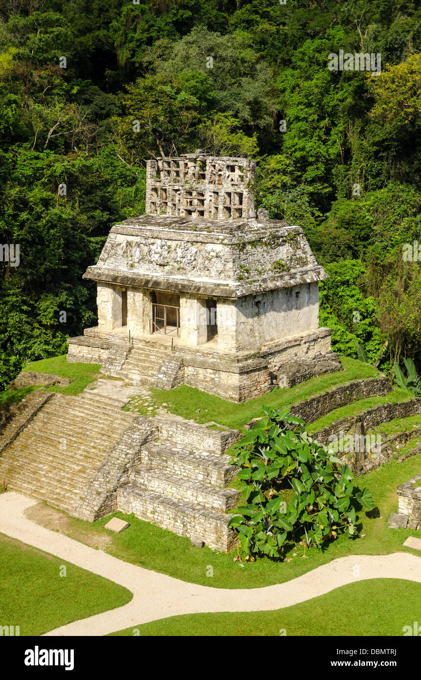 Ancient Mayan temple surrounded by lush green plant life at Palenque, Mexico Stock Photo