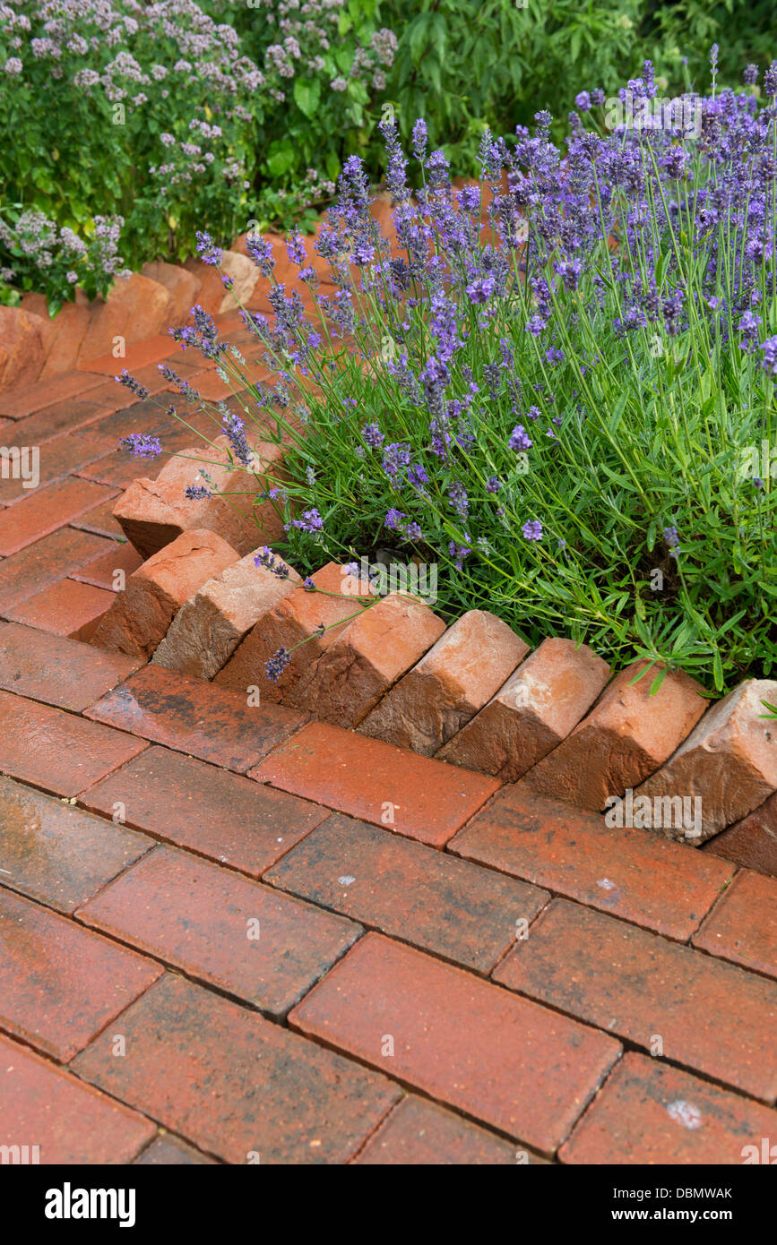garden path constructed from concrete pavers with a saw