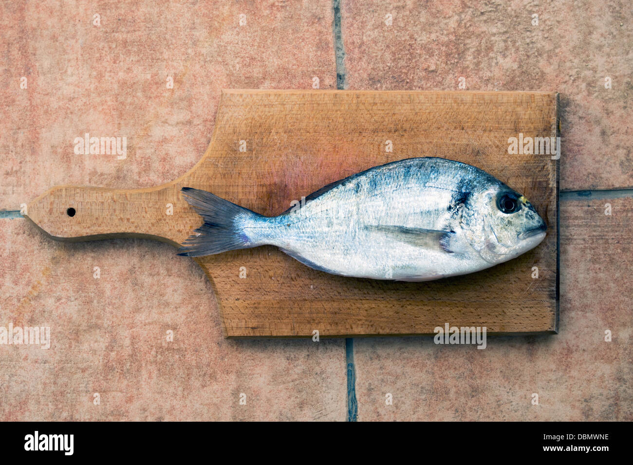 Gilthead seabream fish (Dourada or Sparus aurata) on the cutting board Stock Photo