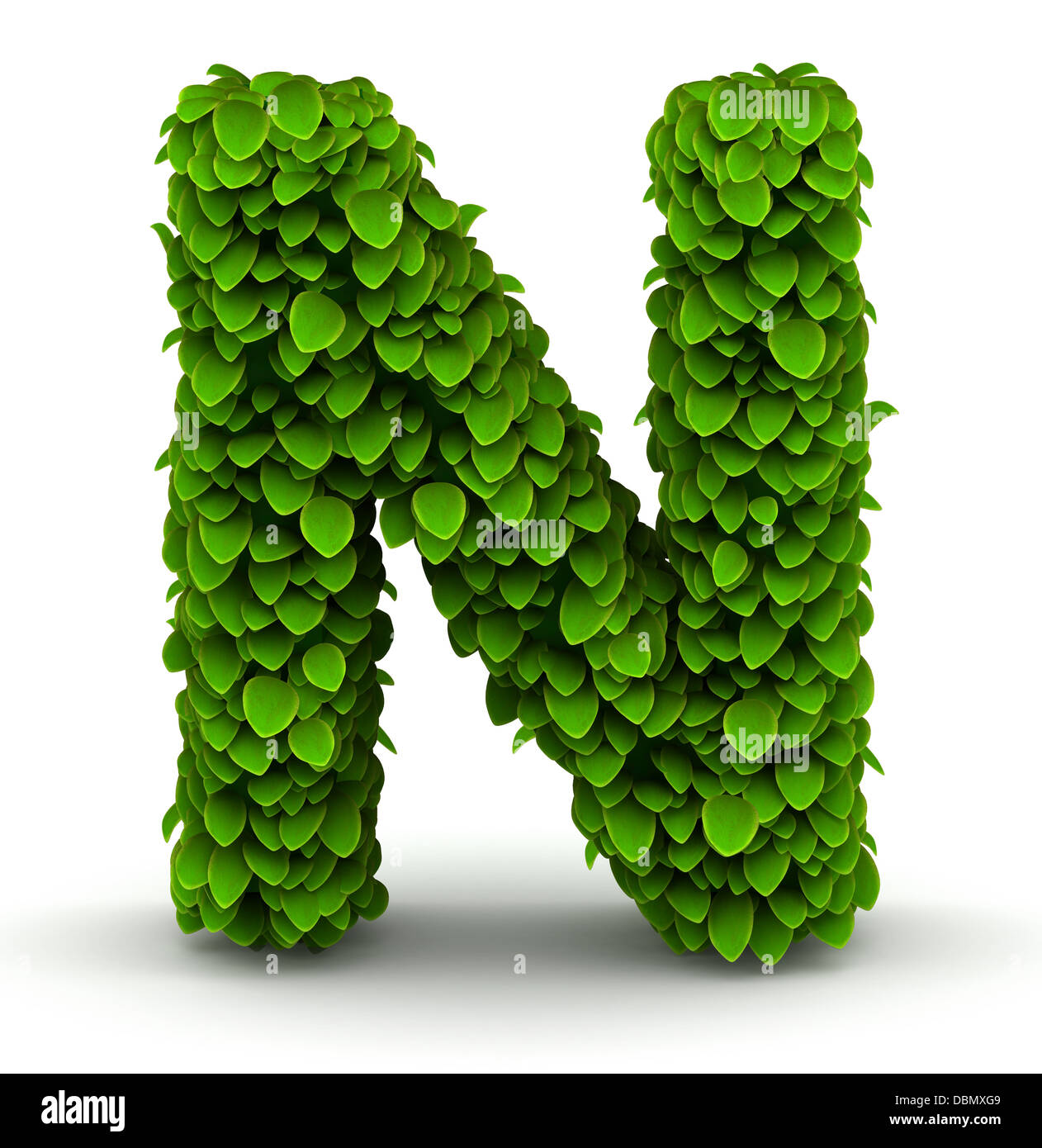 Letter N made from natural elements - Impossible Images - Unique stock  images for commercial use.