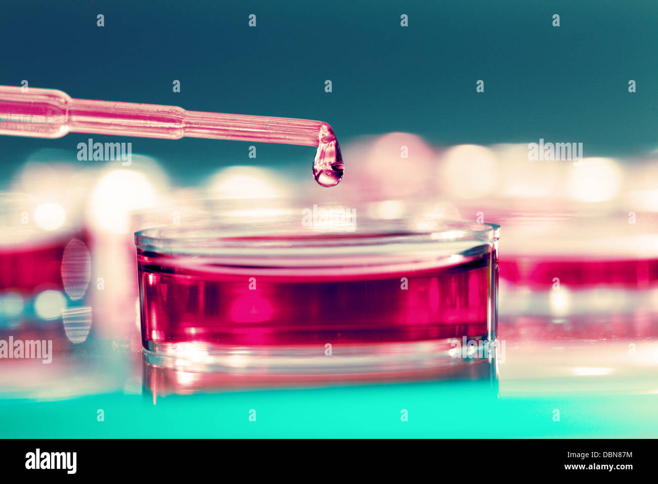 Pipette adding fluid to one of several test tubes Stock Photo