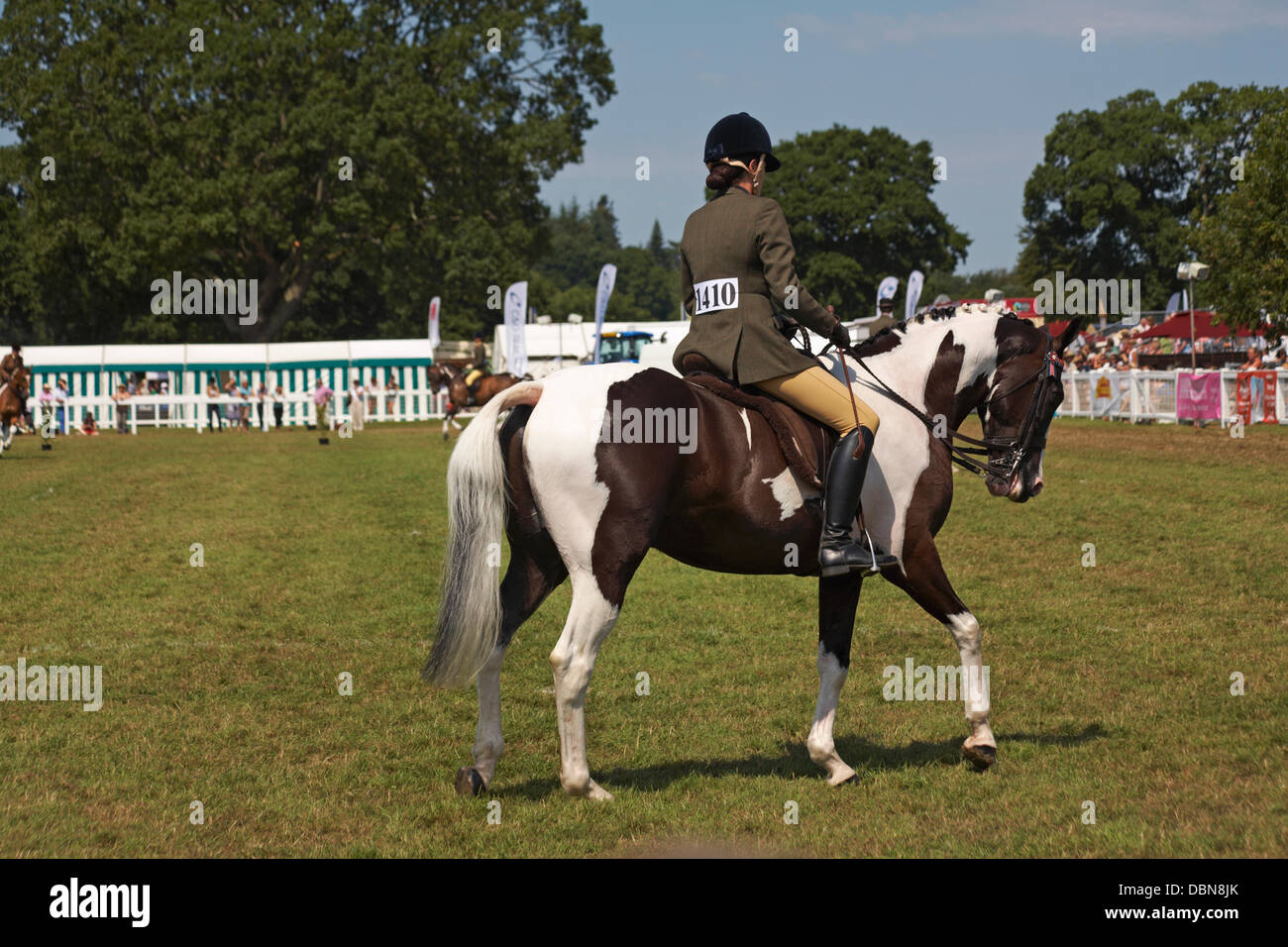 Brockenhurst new forest riding hi-res stock photography and images - Alamy