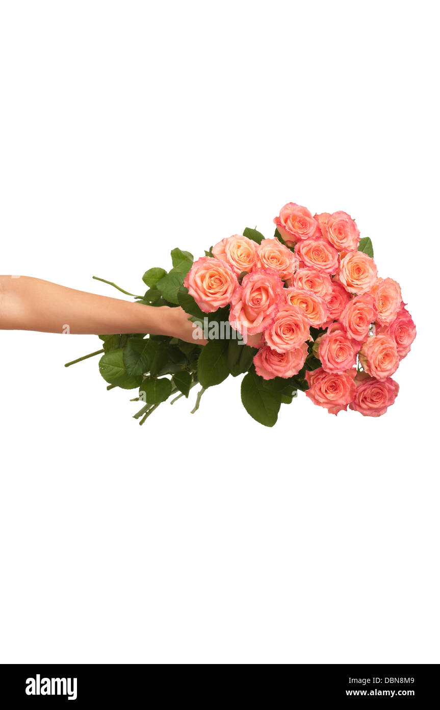 Pluck roses hi-res stock photography and images - Alamy