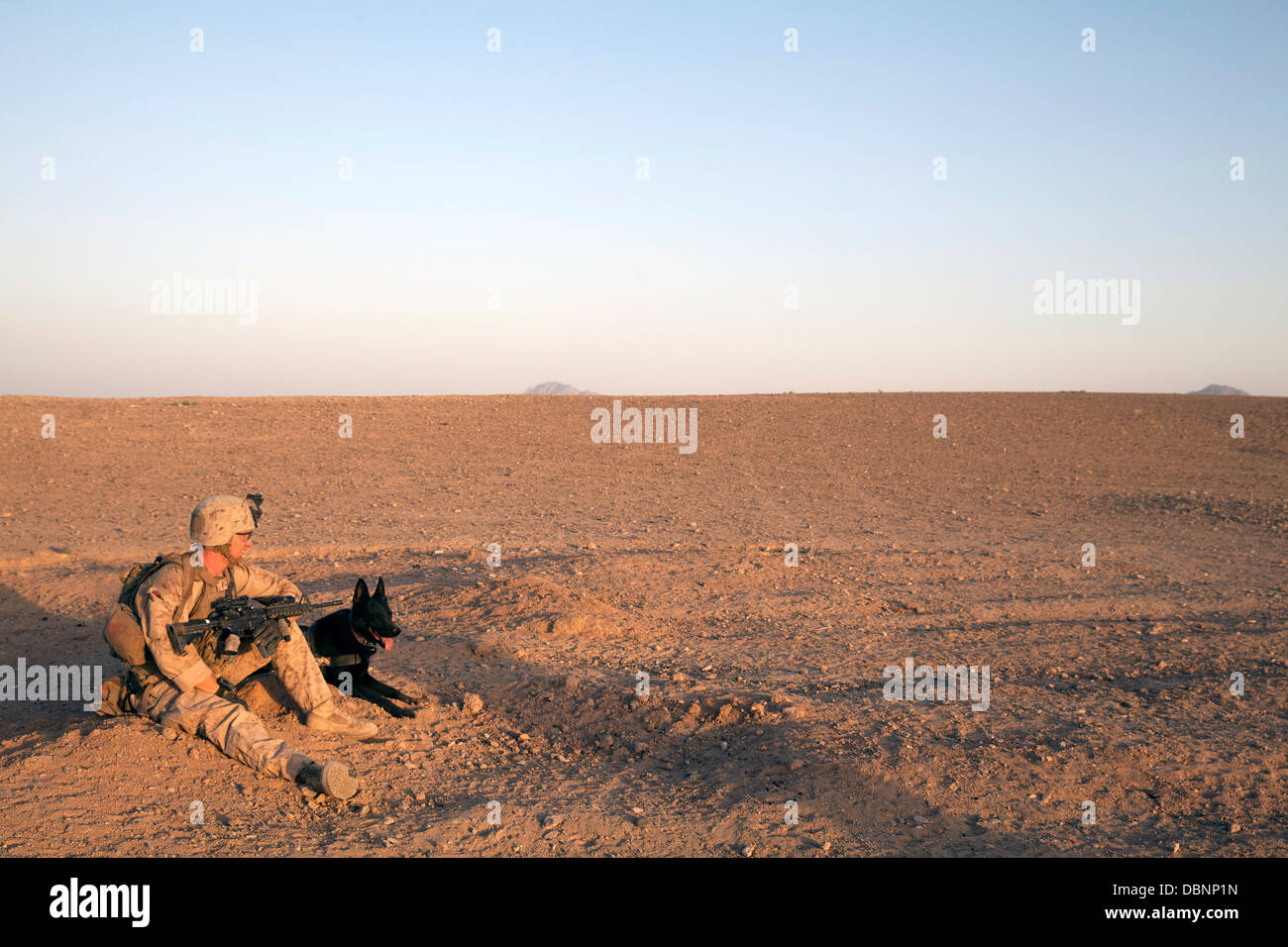 US Marine Corps Cpl. Adam Cook rests with his working dog, Falco, during a patrol July 23, 2013 in Mohammad Abad, Helmand province, Afghanistan. Stock Photo