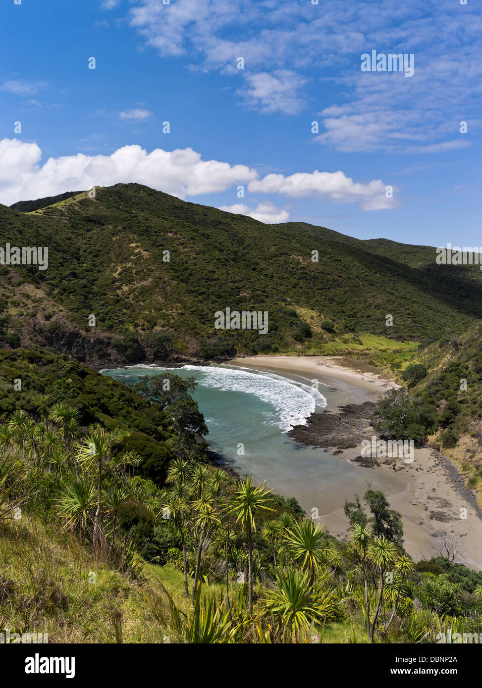 dh Sandy Bay CAPE REINGA NEW ZEALAND Aupouri Peninsula Bush coast countryside northern landscape north scenic Stock Photo