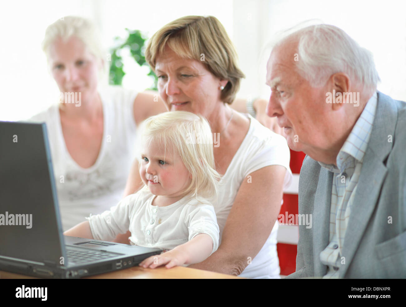 Multi generation family with girl (2-3) using laptop Stock Photo