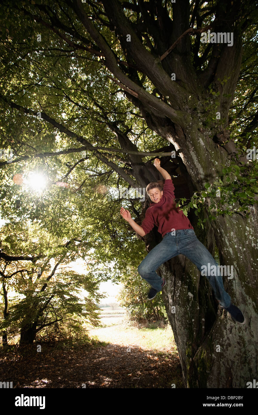 Teenage boy jumping from tree, Bavaria, Germany, Europe Stock Photo