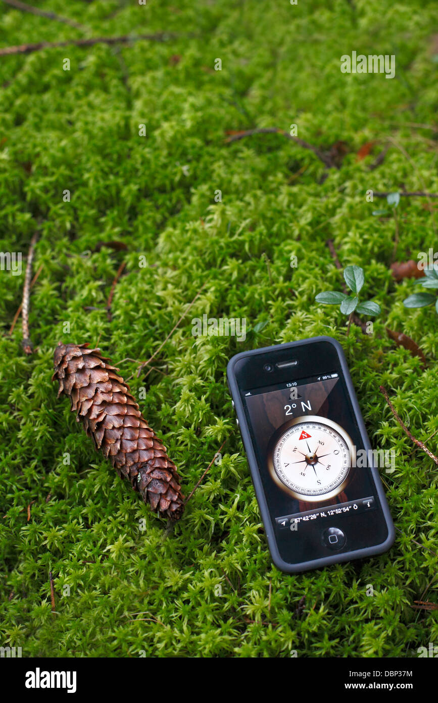 Smart N Final Near Me >> Smart Phone With Compass On Screen Lying On Moss Near Cone Stock Smart N Final Near Me >> Smart Phone With Compass On Screen Lying On Moss Near Cone Stock