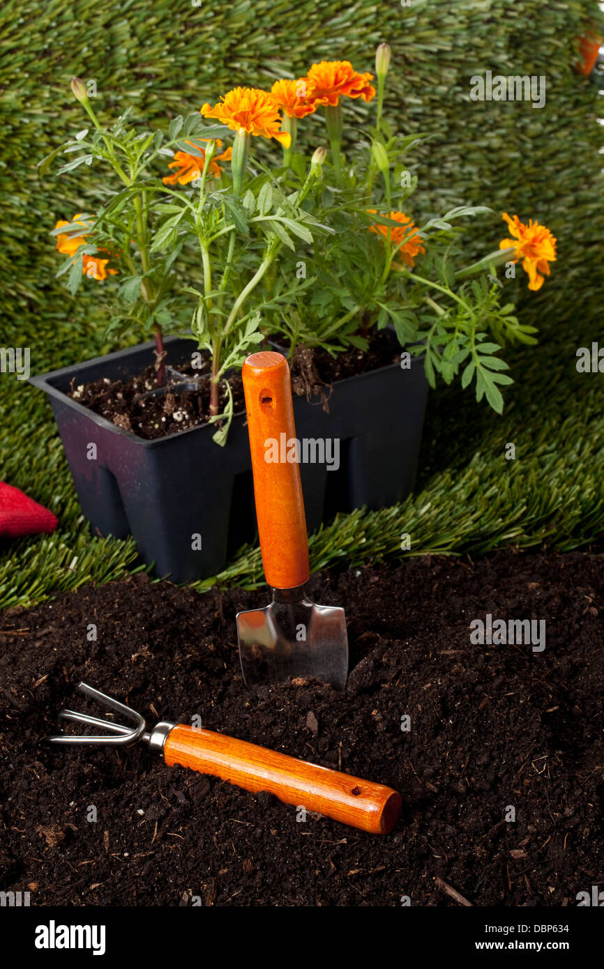 backyard planting tools Stock Photo Alamy