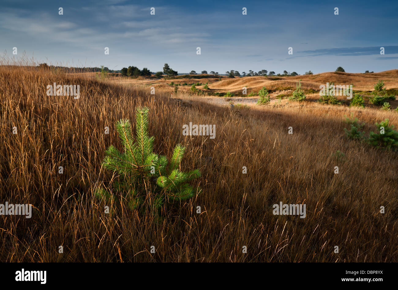 Sunlight Over Hills High Resolution Stock Photography and Images - Alamy