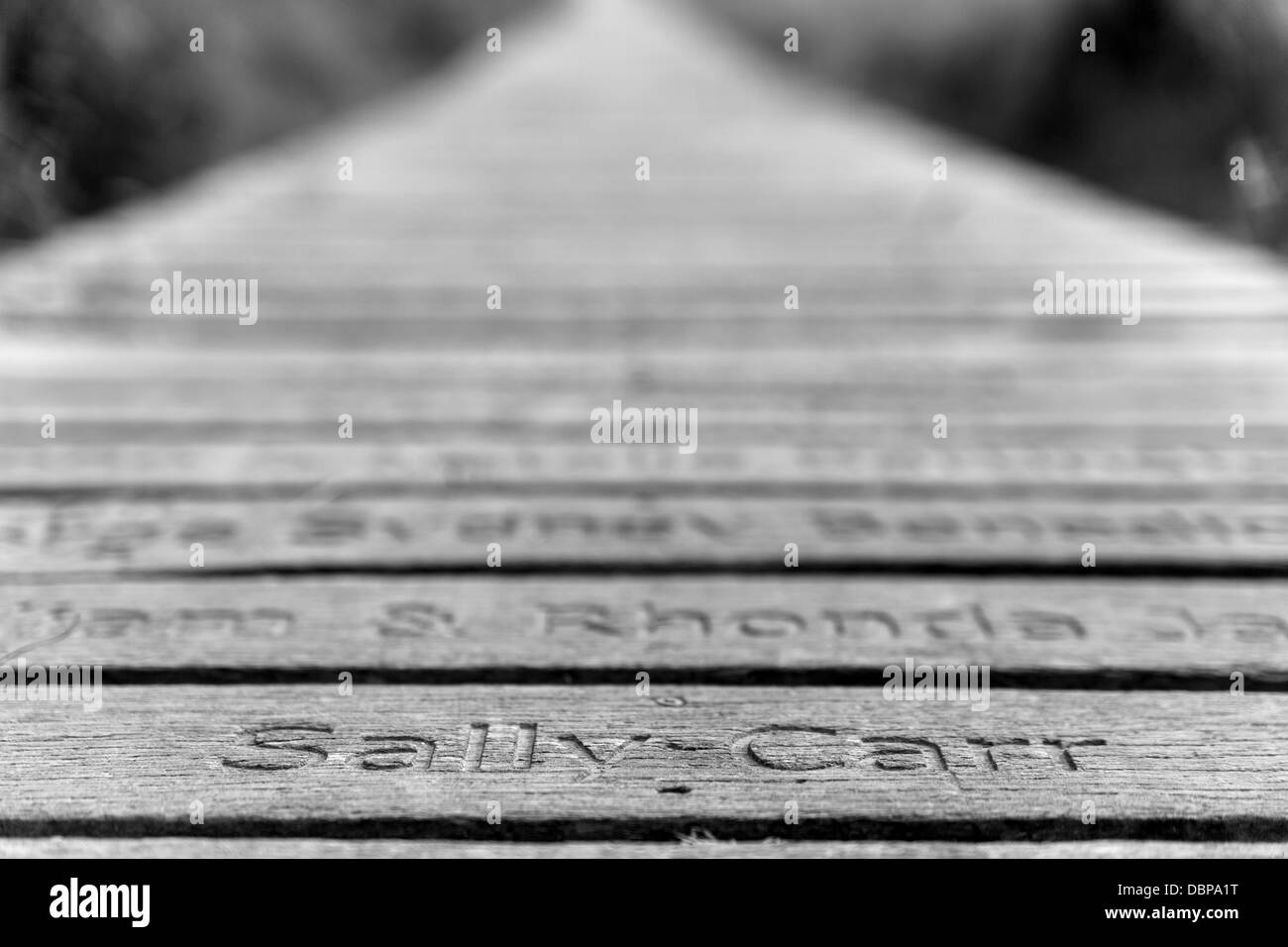 Snape Maltings board walk. Stock Photo