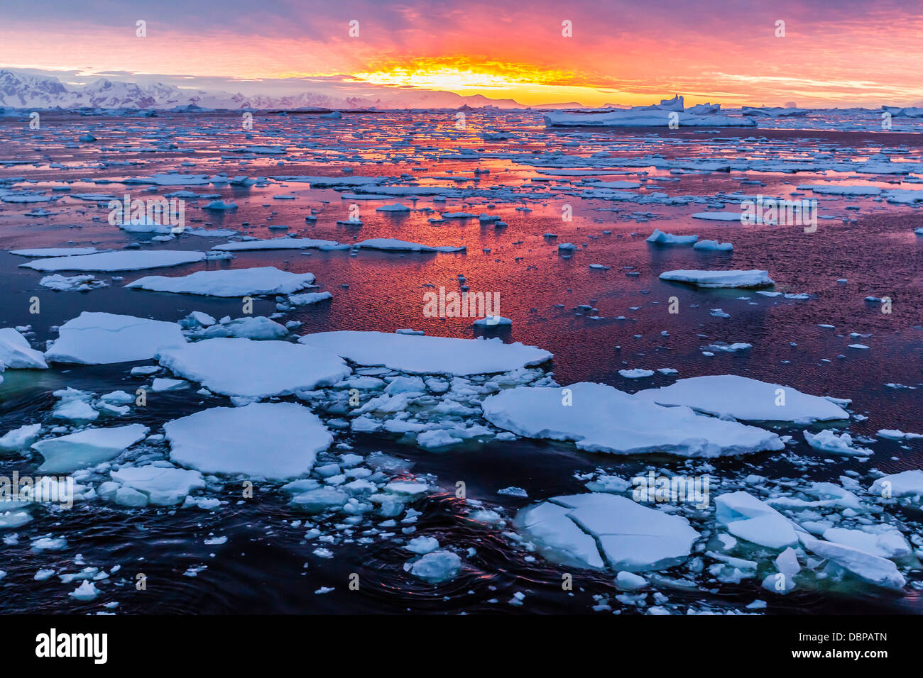 Sunset over ice floes and icebergs, near Pleneau Island, Antarctica, Southern Ocean, Polar Regions Stock Photo