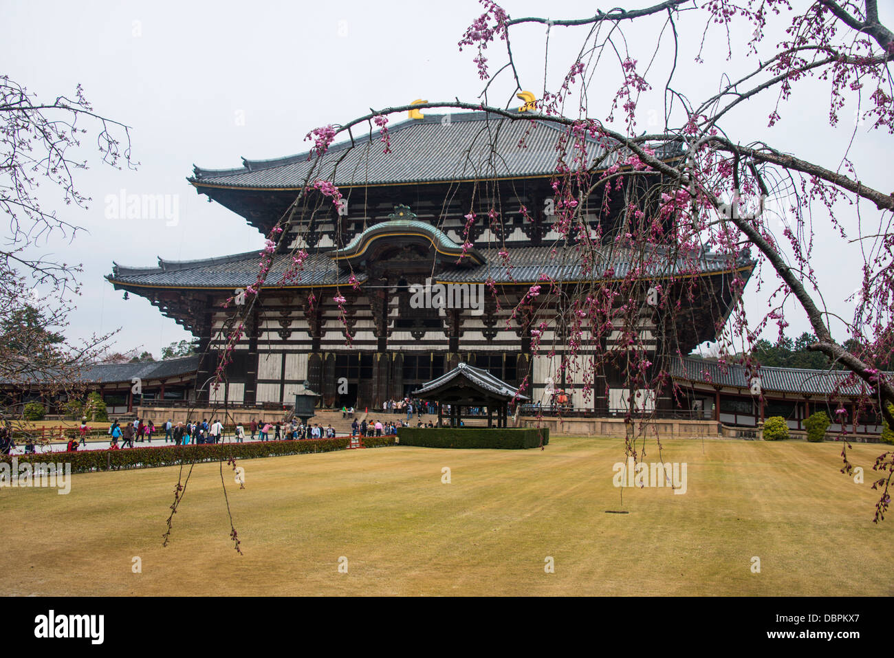 Todaiji Temple, UNESCO World Heritage Site, Nara, Kansai, Japan, Asia Stock Photo