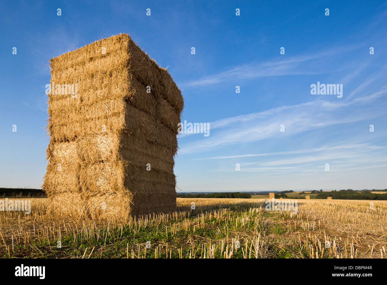 Hay bales stacked high in West Yorkshire, Yorkshire, England, United Kingdom, Europe Stock Photo