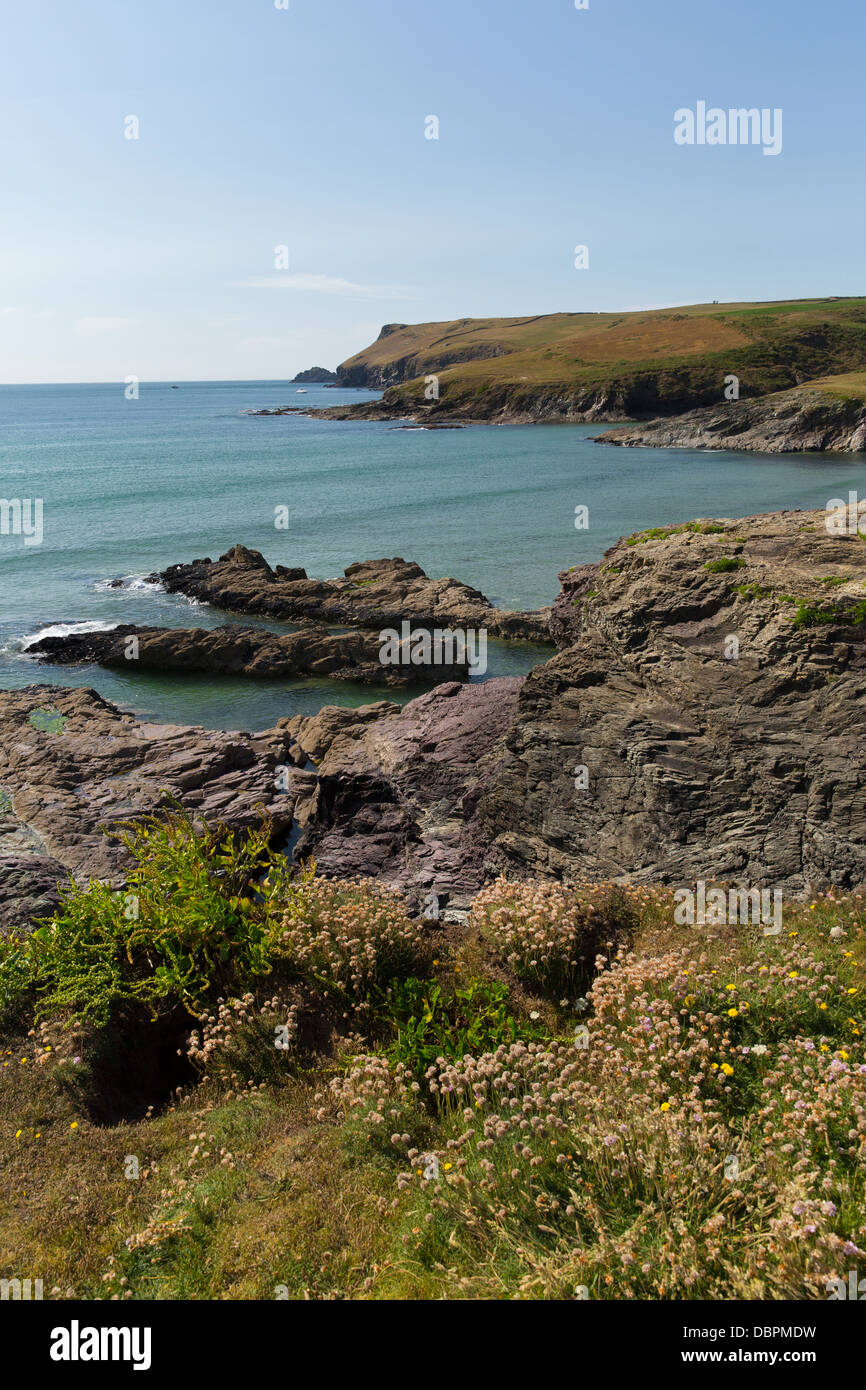 Cornwall coast New Polzeath England United Kingdom with beautiful blue