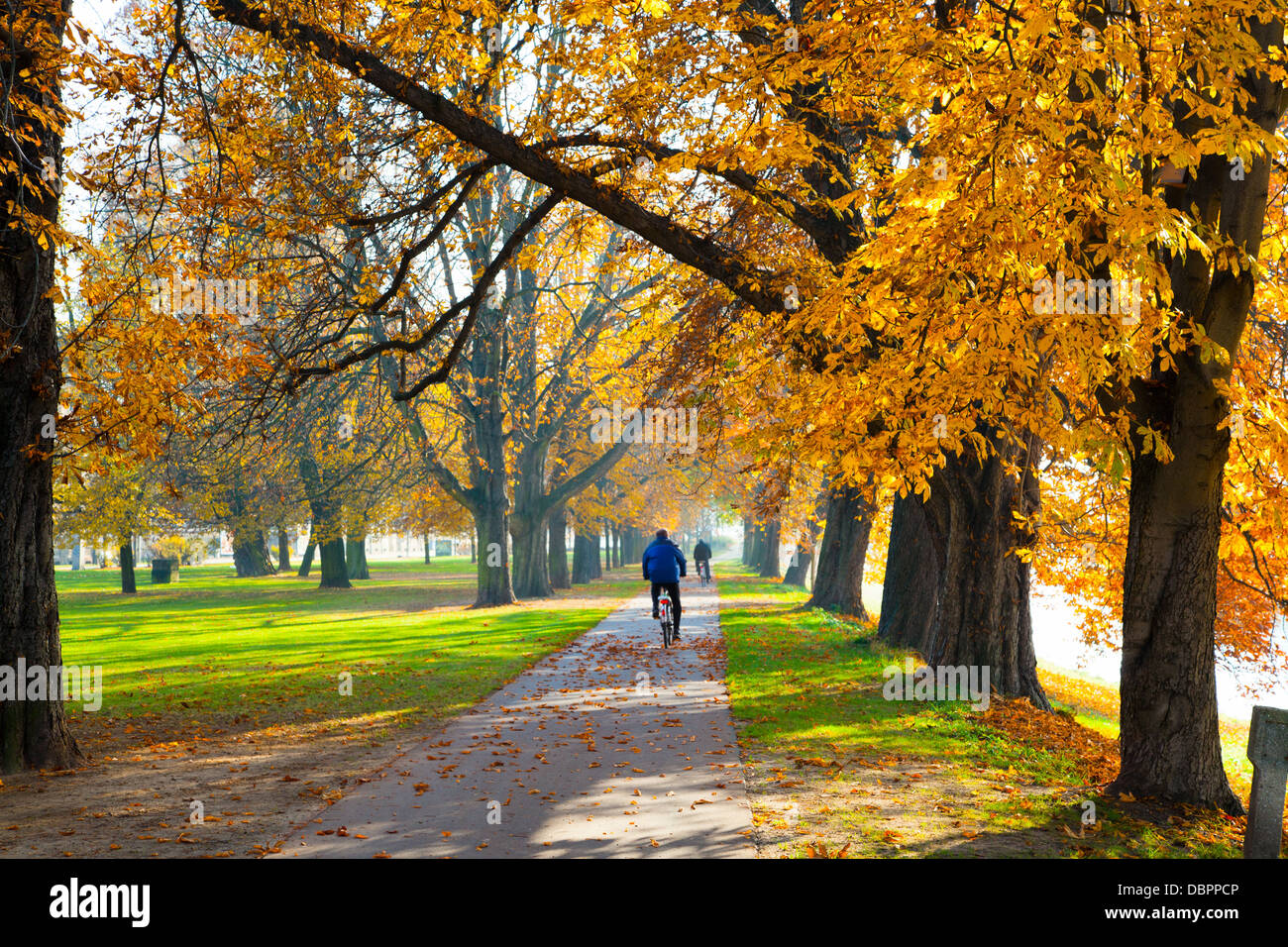 Pedestrian walkway for exercise lined up with beautiful fall trees Stock Photo