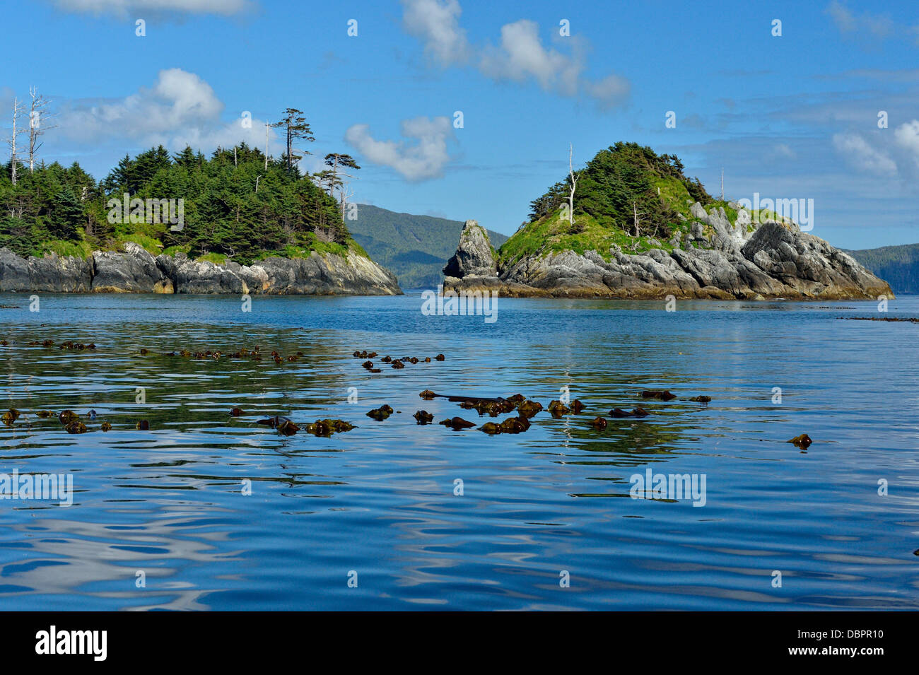 Outer islands near Anthony Island SGang Gwaay Haida Gwaii Queen