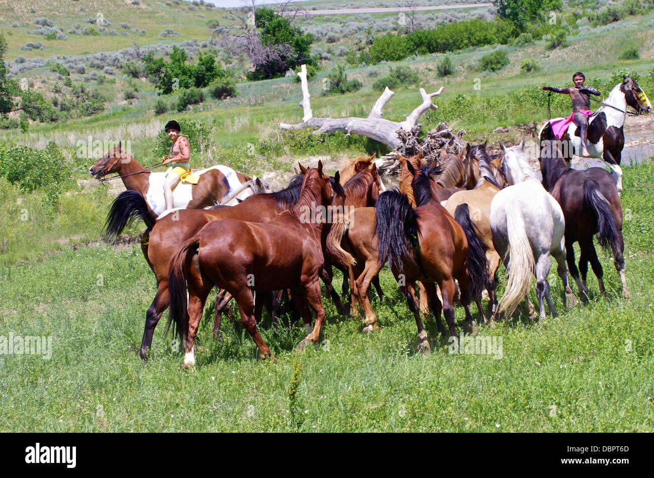 Indians and horses hi-res stock photography and images - Alamy