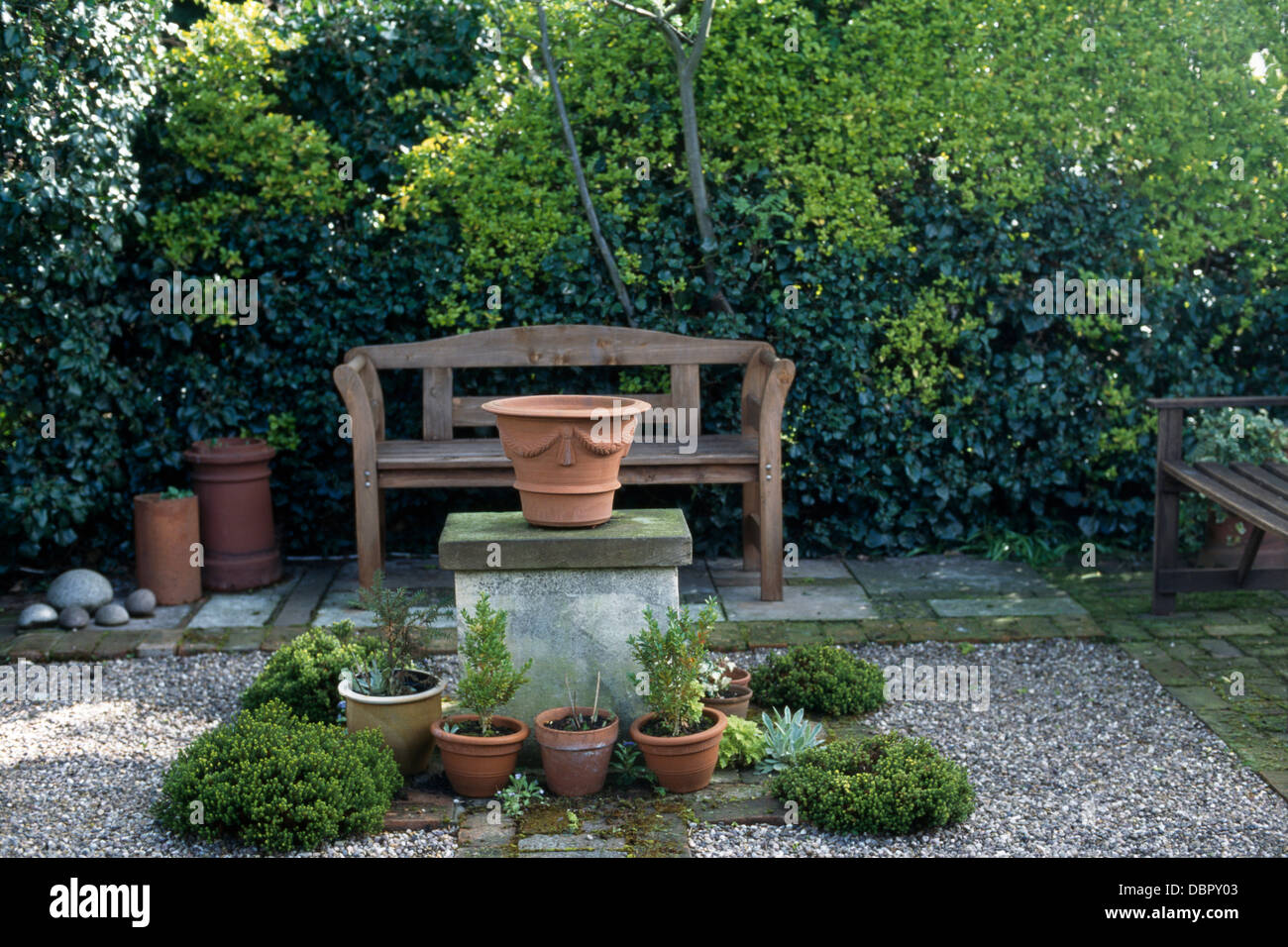 Small Shrubs In Pots On Gravel Patio With Wooden Bench Against