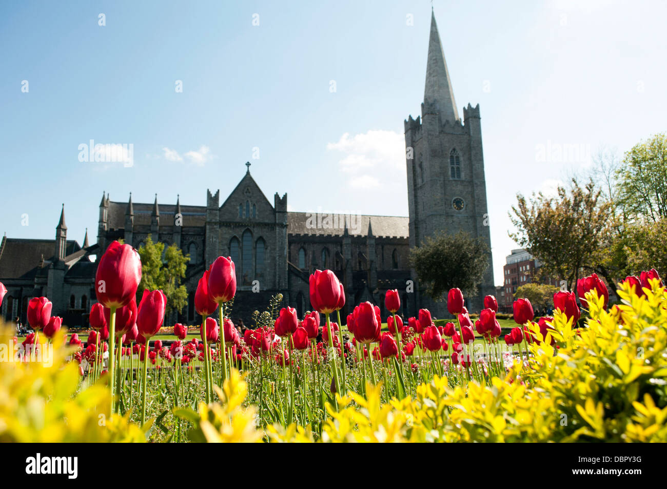St. patrick's cathedral dublin hi-res stock photography and images - Alamy