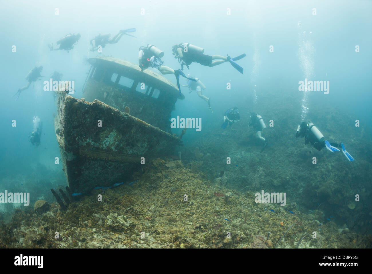 Scuba divers encircling the wreck of the Mr. Bud, a former shrimping boat, scuttled off the island of Roatan, Honduras Stock Photo
