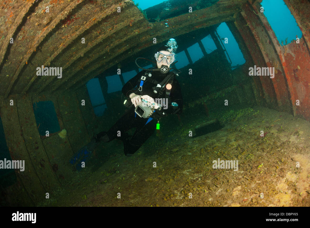 Scuba diver inside the wreck of the Mr. Bud, a former shrimping boat, scuttled off the island of Roatan, Honduras Stock Photo