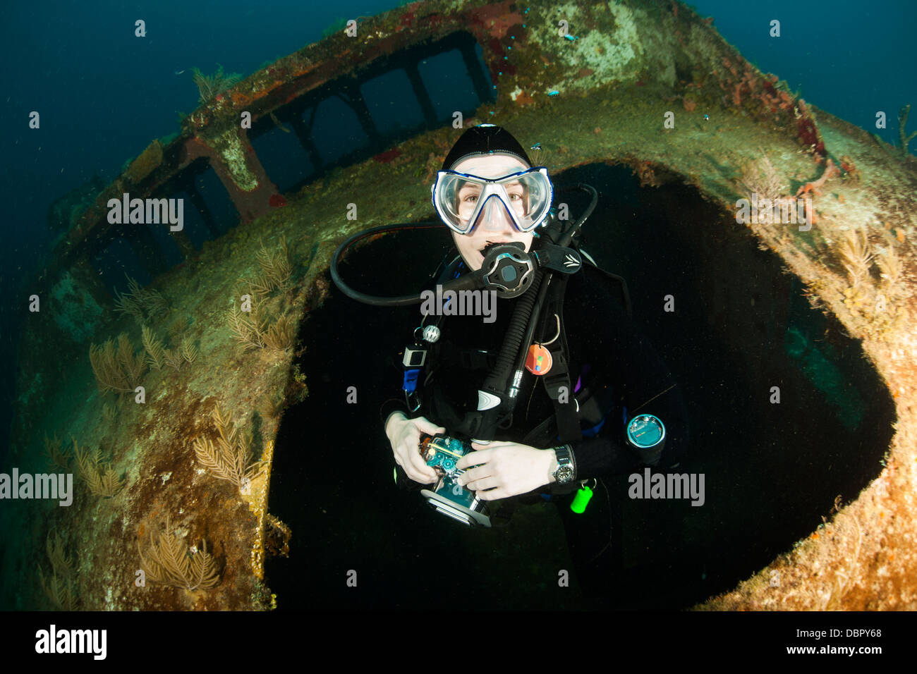 Scuba diver emerging from the wreck of the Mr. Bud, a former shrimping boat, scuttled off the island of Roatan, Honduras Stock Photo