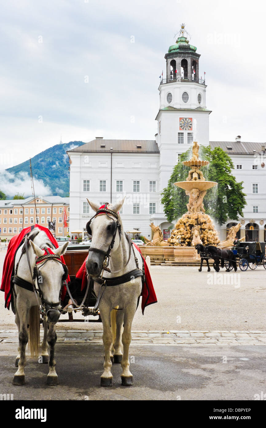 elegant horses waiting for a ride on Residenzplatz in Salzburg, Austria Stock Photo