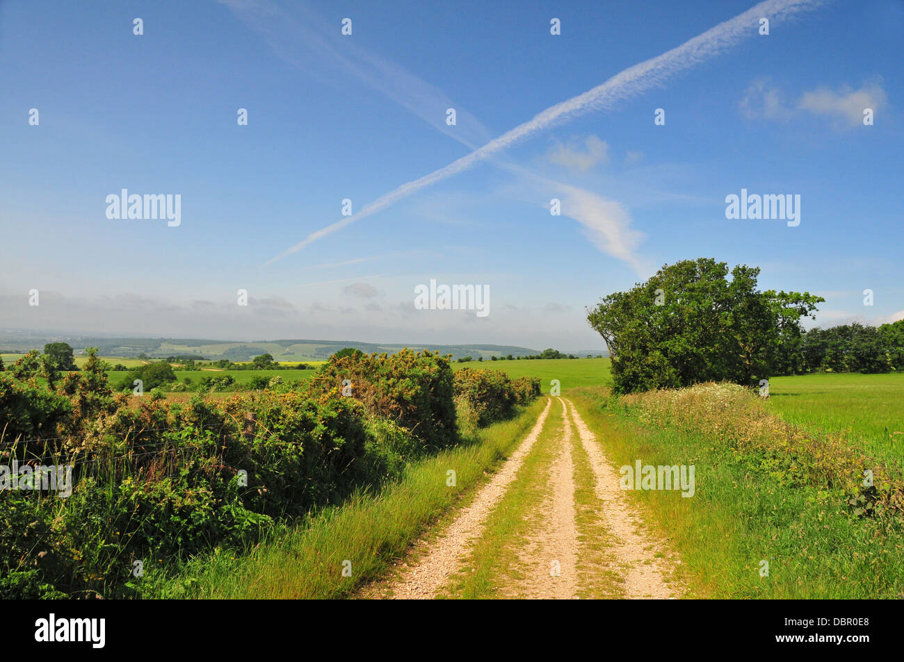 South downs summer hi-res stock photography and images - Alamy