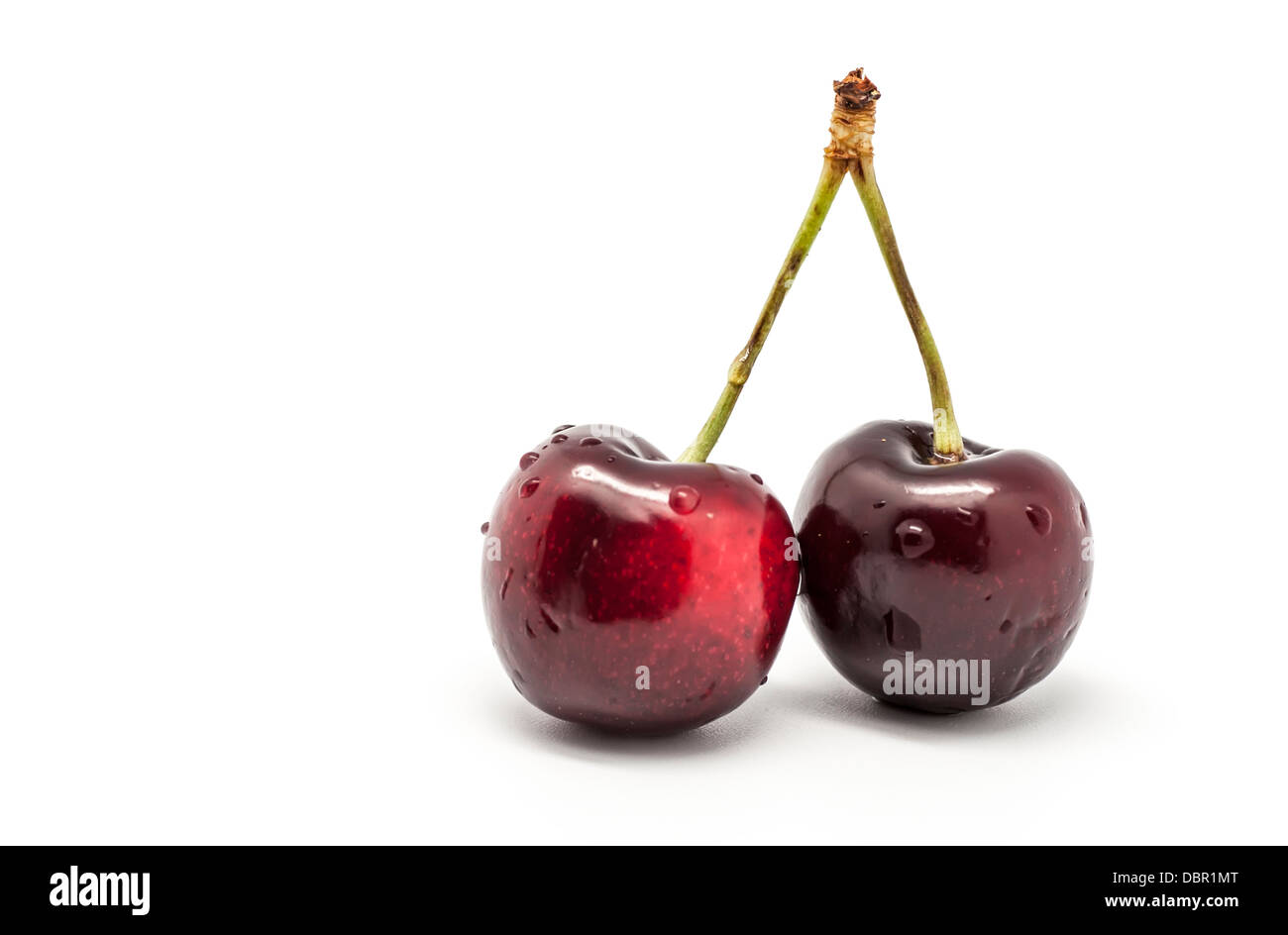 Two Cherries on white background Stock Photo