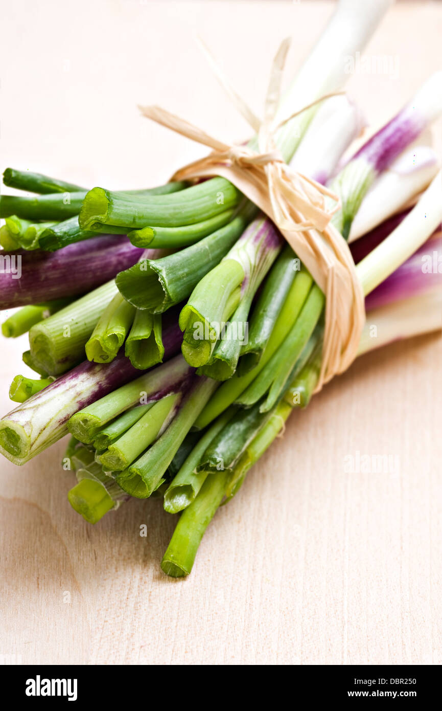 Bunch of chives on white background Stock Photo - Alamy