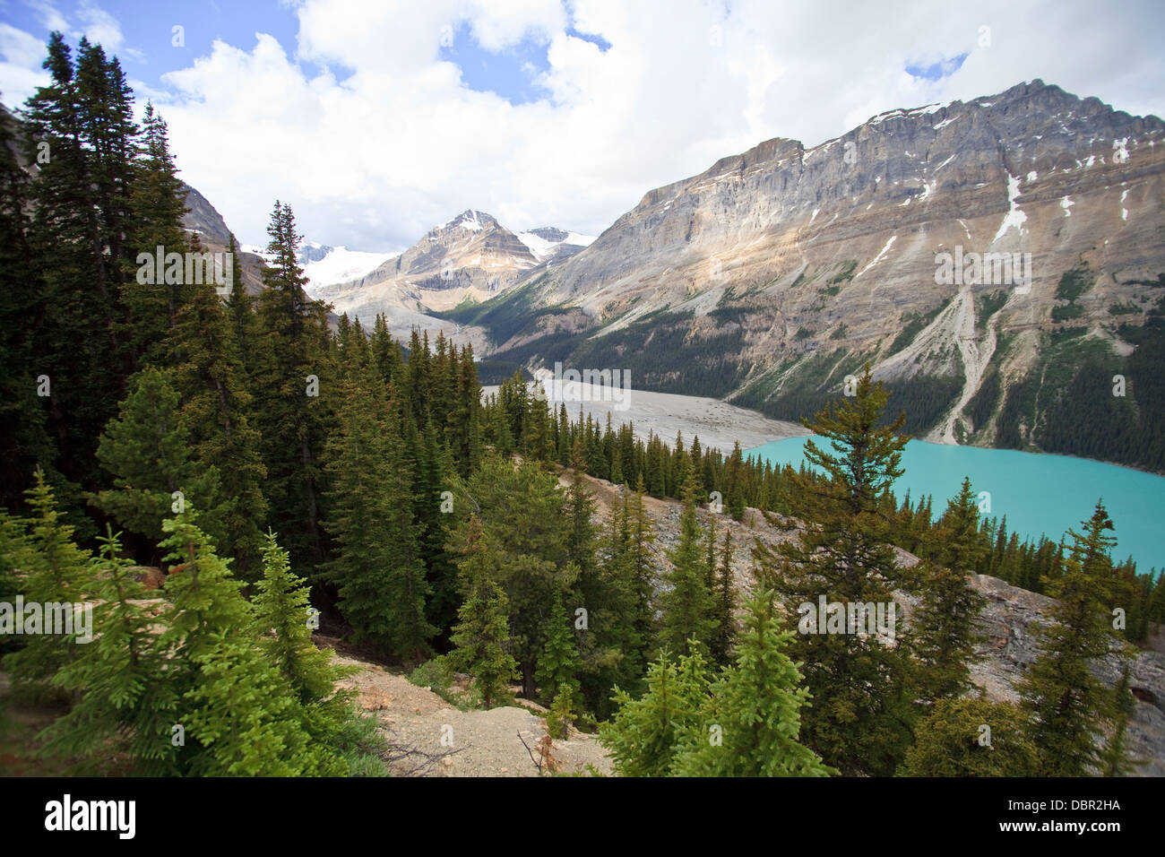 Peyto Lake at Bow Summit in Banff, Alberta Stock Photo - Alamy