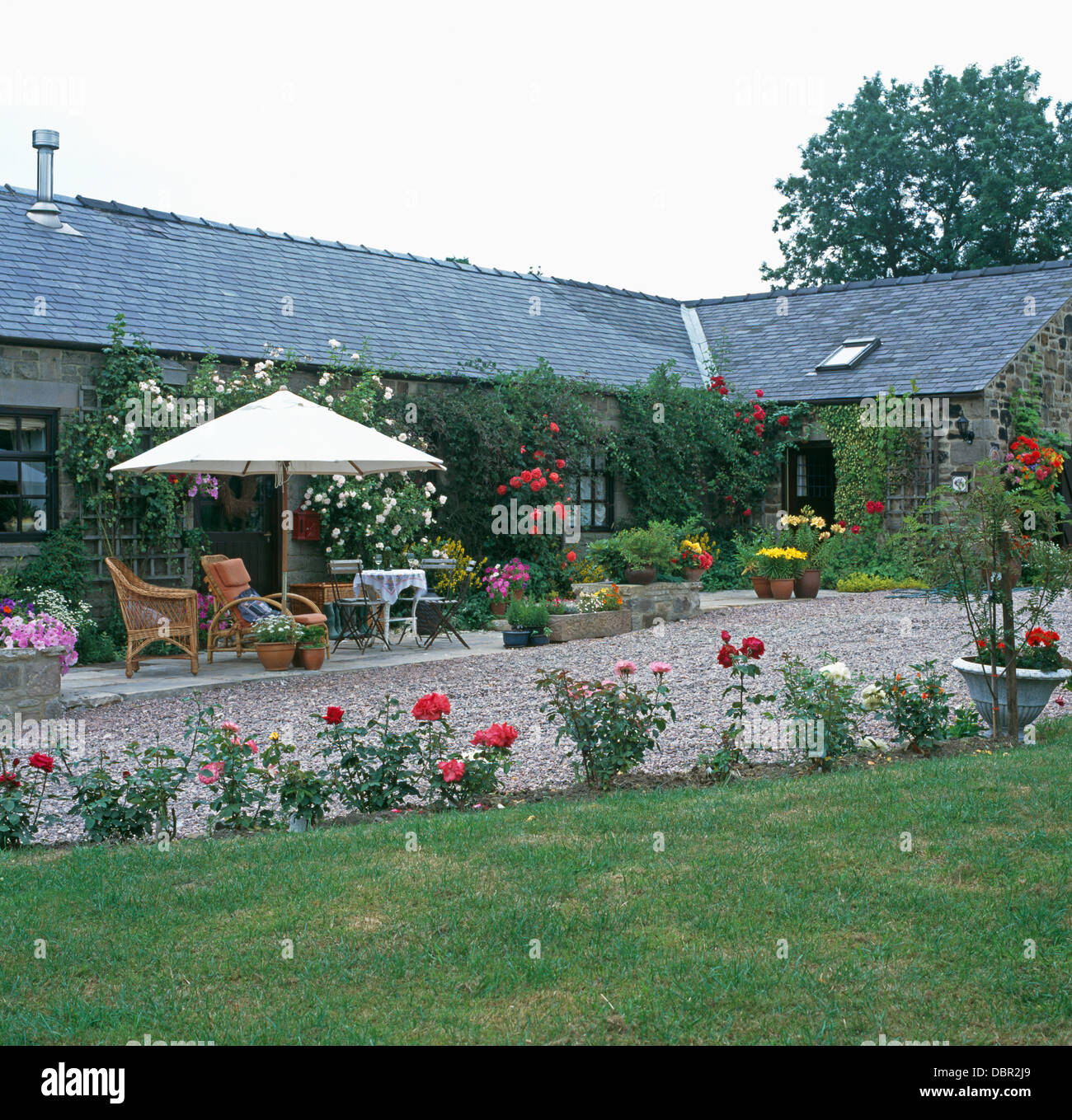 Lawn Edged With Rose Beds In Front Of Single Storey Barn