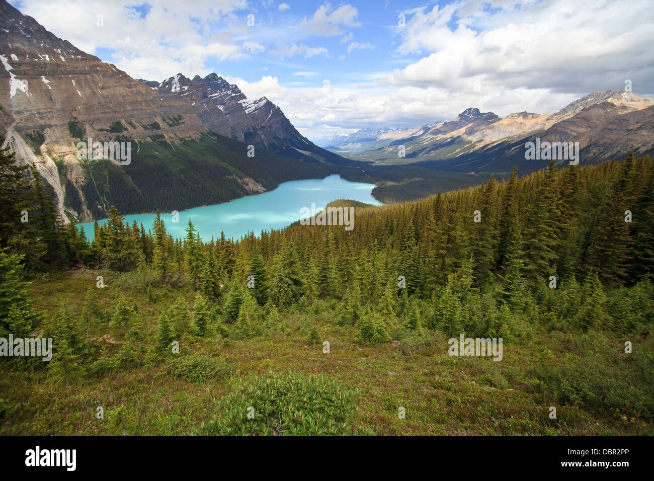 Peyto Lake at Bow Summit in Banff, Alberta Stock Photo - Alamy