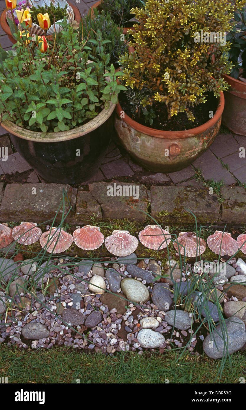 Close-up of pots of mint and a small hebe on paving edged with seashells and pebbles Stock Photo