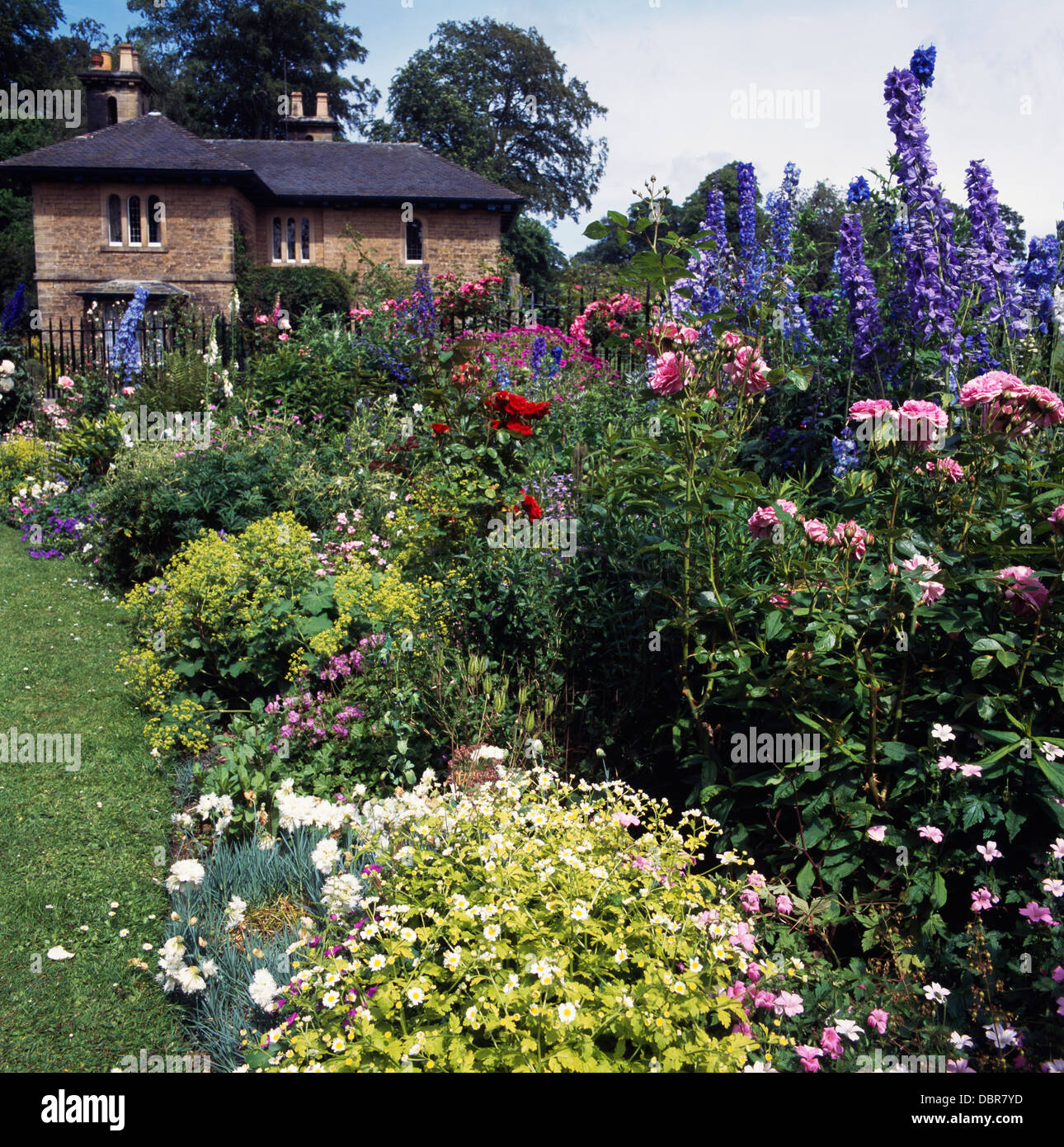 Country garden with pink roses and tall blue delphiniums in large summer border with dianthus 'Mrs. Sinkins' Stock Photo