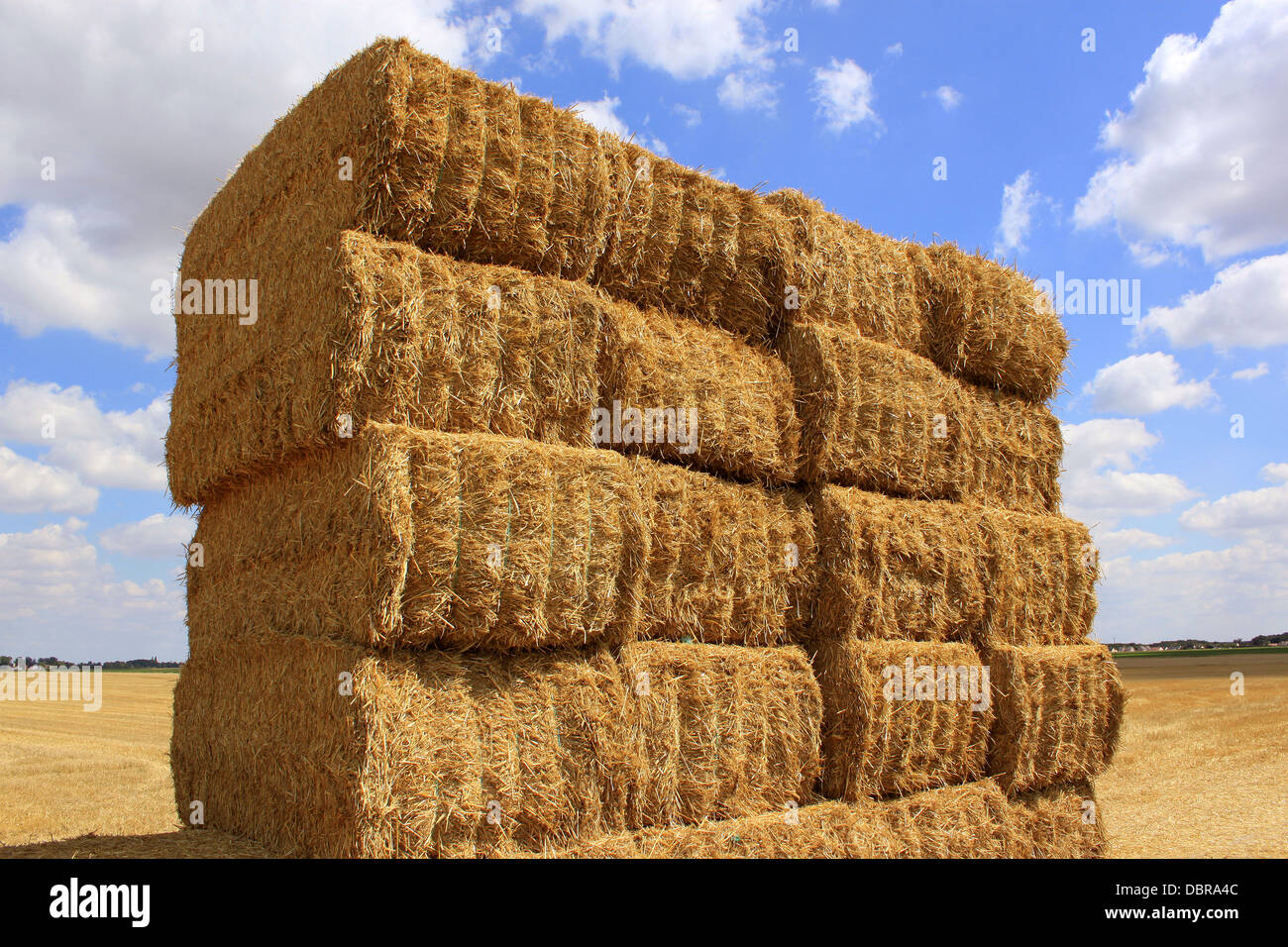 many haystacks piled on a field of wheat Stock Photo