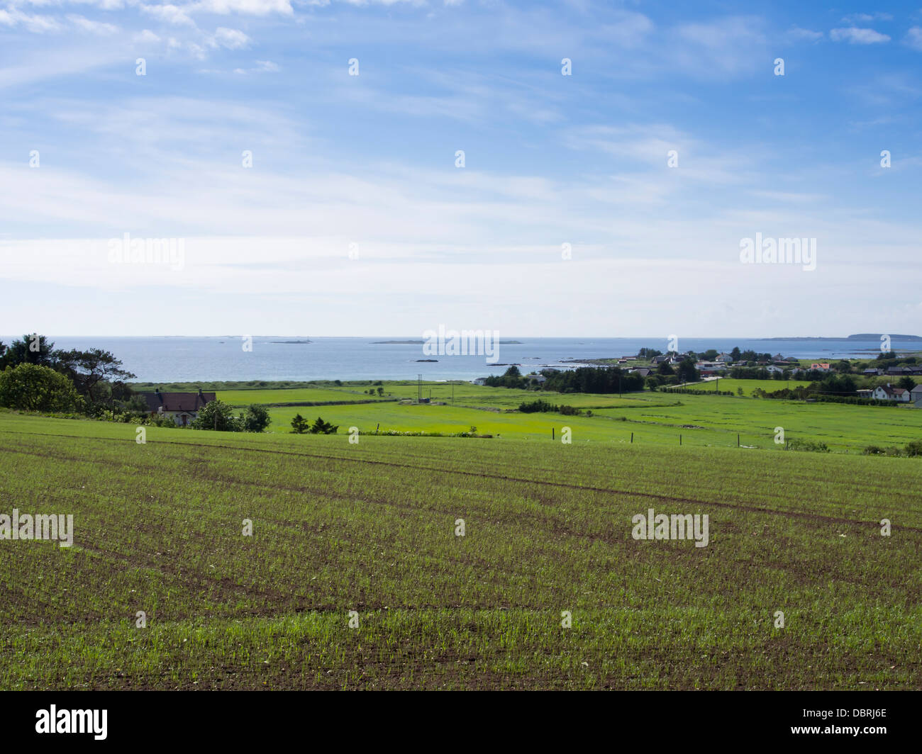 Newly planted fields in Sola, an agricultural area outside Stavanger Norway , farms with north sea and horizon as neighbour Stock Photo