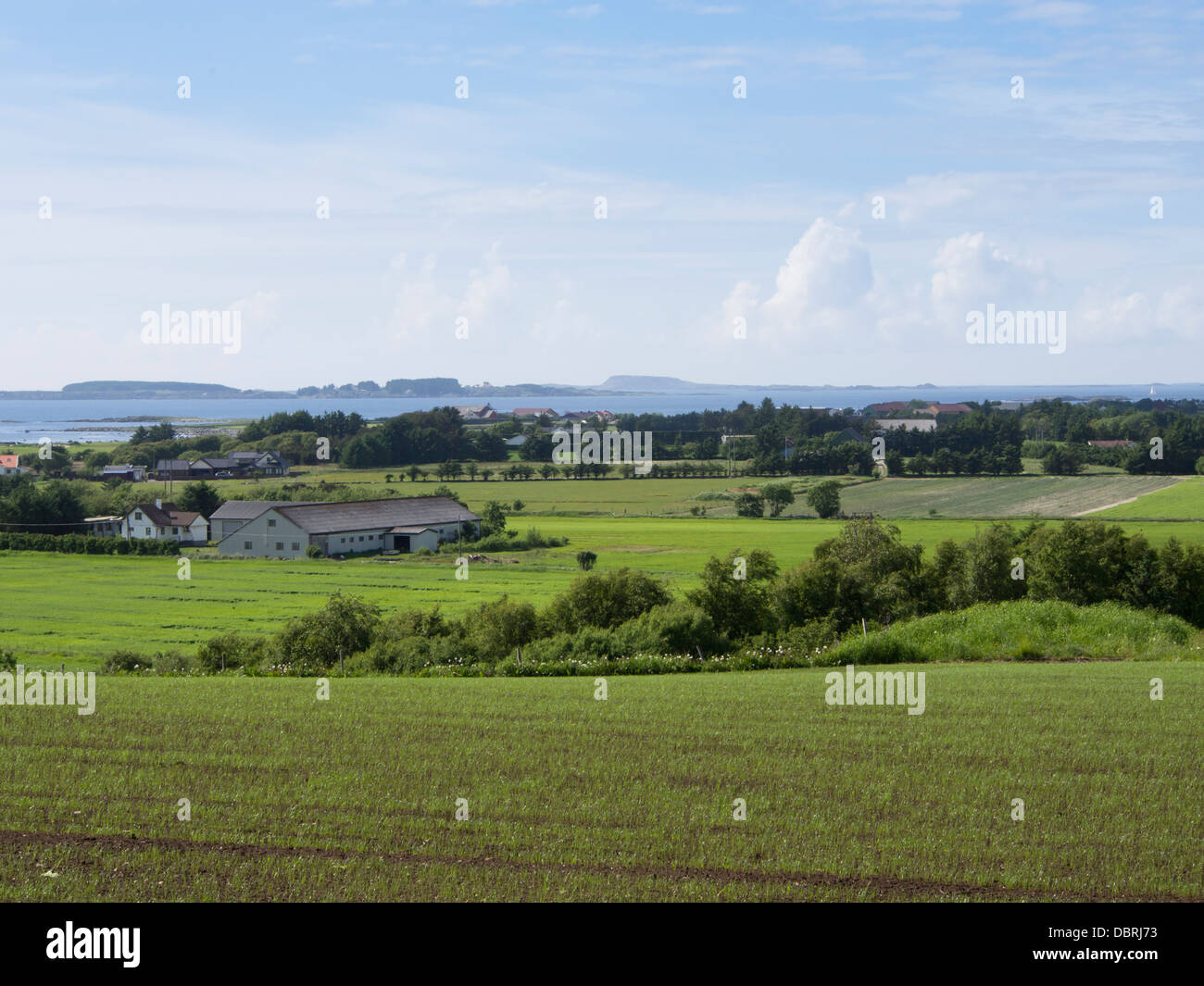 Newly planted fields in Sola, an agricultural area outside Stavanger Norway , farms with north sea and horizon as neighbour Stock Photo