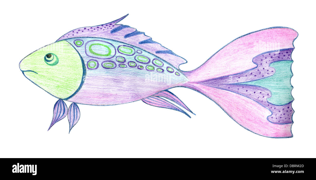 Color pencil drawing of fish with long fins Vector Image